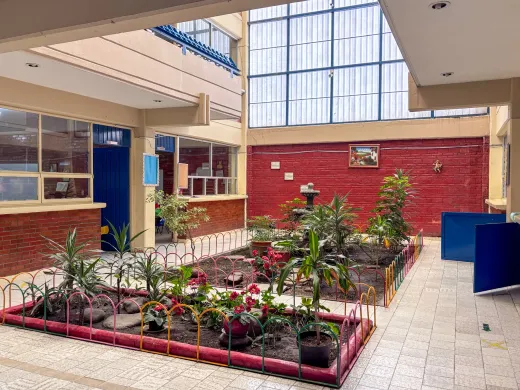 Patio-jardín